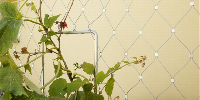 Inox X tiende la malla de la cuerda de alambre para las plantas del