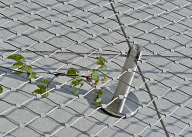 Stainless Steel Rope Mesh / Plant Trellis Or Construction Building Facade Safety Net