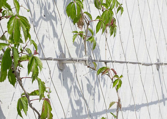 SS 316 Red de alambre de aviario para aves - Cercas de acero inoxidable para zoológicos