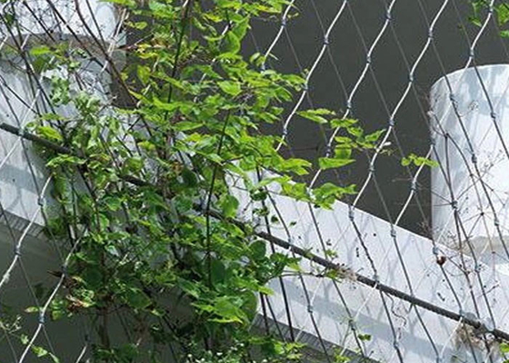 Tela metálica de acero de AISI316 2.5m m para la prueba de corrosión de las plantas que sube