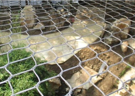 La alta durabilidad SUS316 incluyó el alambre Mesh Animal Wire Mesh del parque zoológico