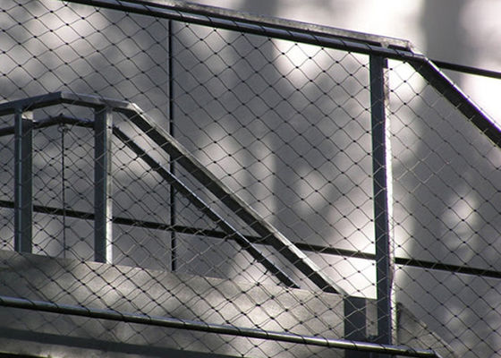 Tamaño apretado de la abertura de la malla 25mm-300m m de la cuerda de acero de la red de la alta durabilidad