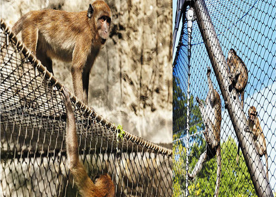 empaquetado de acero inoxidable de la caja del cartón de la armadura de tela cruzada de la red del pájaro del diámetro de alambre de 1.5m m