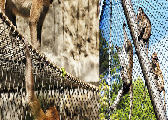 Acero inoxidable Recinto zoológico Aviario Neta de alambre de 1m ancho de rollo Antióxido