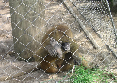Red anudada 3.0m m animal zoológica de alta resistencia de la cuerda de la malla del recinto