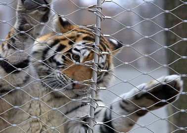 Mono Tiger Zoo malla del recinto del animal de 1.2m m 7 x 7