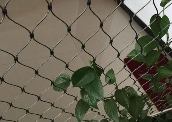 Malla de cable de acero inoxidable para enrejado de muros verdes, tamaños personalizados