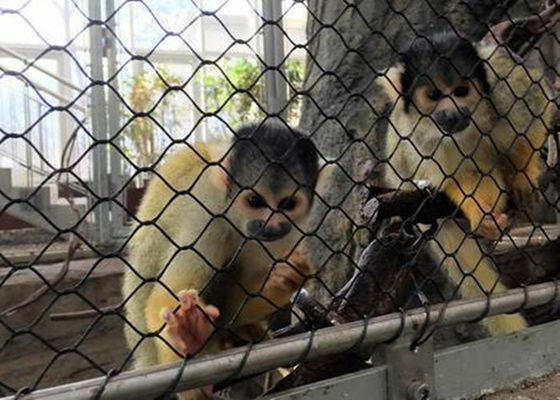 Tipo tejido diamante flexible negro de la red de la malla de la cuerda de la pajarera de los SS del óxido