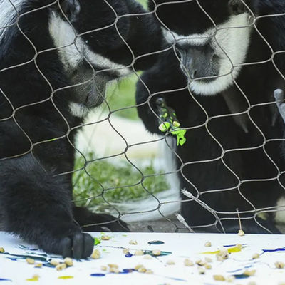 3 mm de cuerda de alambre de malla para el zoológico protector jaulas de seguridad jardín cerca exterior