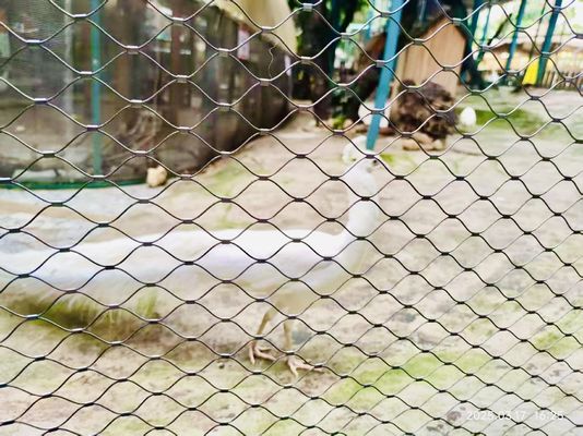 Cuerdas de cercas de zoológico Cuerdas de acero inoxidable Cuerdas de aviario de aves