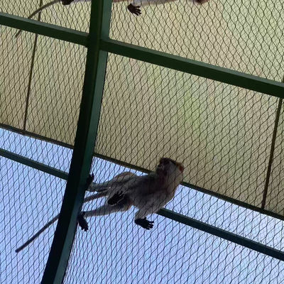 Malla de alambre tejido de acero inoxidable para aviario de aves, zoológico, cerramiento y protección de taludes