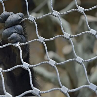 Redes de cables de acero inoxidable robustas diseñadas para barreras de seguridad