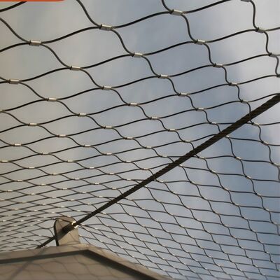 40*40mm Aperture Stainless Steel Rope Mesh Used on Orchard Protection Netting (Masa de cuerda de acero inoxidable con apertura de 40*40 mm usada en redes de protección de huertos)