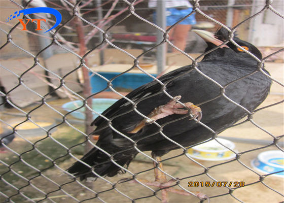 316 malla de acero inoxidable del parque zoológico del grado 1.5m m 30*30m m