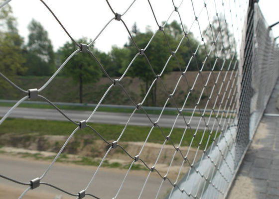 Verjas del puente y malla de acero inoxidable 60x60m m de la cuerda de la virola de la barandilla