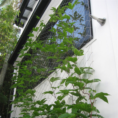Cuerda de alambre de acero inoxidable de la pared 1.2m m del verde de Eco Mesh For Green Facade