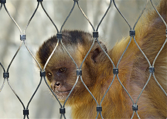 La cuerda de alambre de alta resistencia de 1.5m m Mesh For Aviary Zoo Bird enjaula