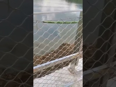 Recinto de malla de cuerda de alambre