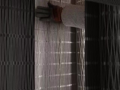 cuadrícula de alambre de zoológico 2