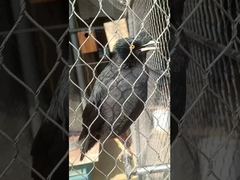 Red de cuerda anudada de acero inoxidable fuerte y flexible con férula suave y duradera