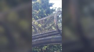 Protección contra caídas de cerca de jardín de red de cuerda de acero inoxidable
