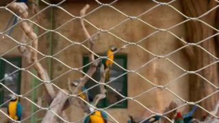 ¿Cómo se ve una malla de cable de alambre de acero inoxidable tejido?